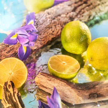 Oceania Fragrance Roja Parfums 